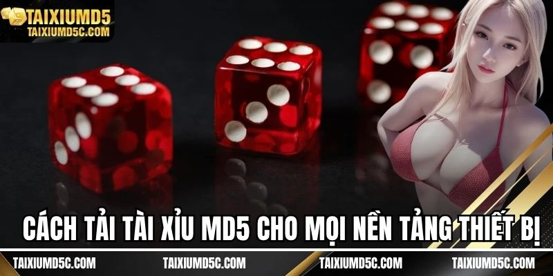 Cách tải tài xỉu MD5 cho mọi nền tảng thiết bị