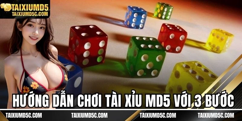 Hướng dẫn chơi tài xỉu MD5 với 3 bước