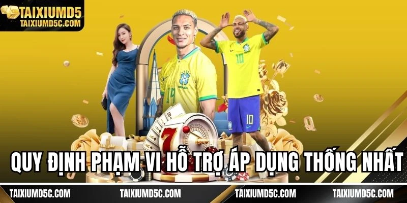 Quy định phạm vi hỗ trợ áp dụng thống nhất