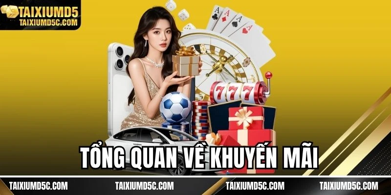 Tổng quan về khuyến mãi