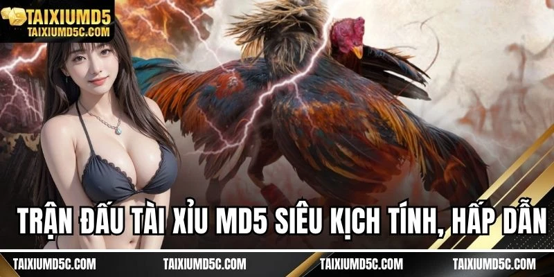 Trận đấu Tài Xỉu MD5 siêu kịch tính, hấp dẫn